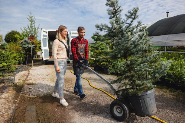 Best Tree Care Services  in Milliken, CO